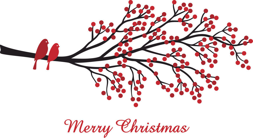 Christmas berries